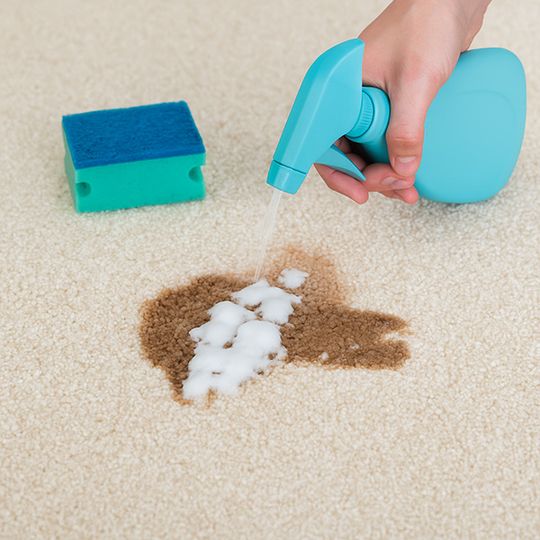 Our Carpet Steam Cleaning Process and How It Works