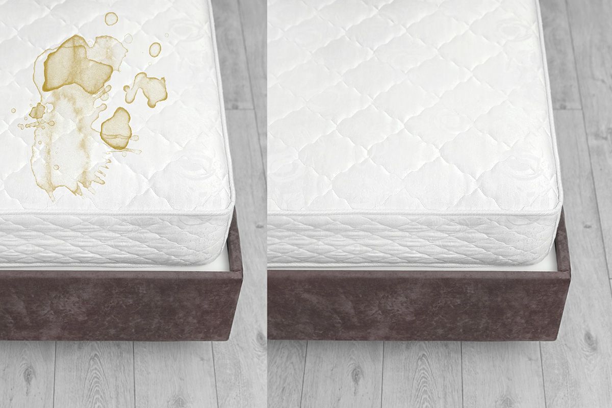 Professional Sofa & Upholstery Steam Cleaning in London