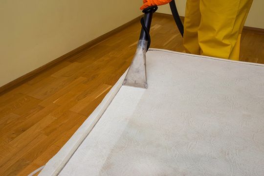 Our Carpet Deep Cleaning Features