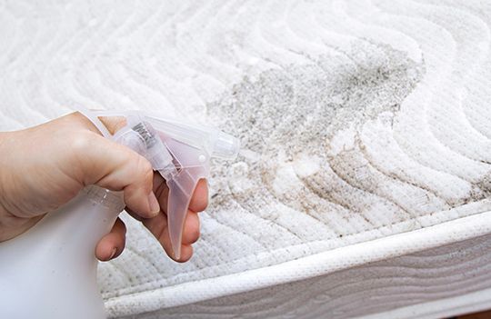 Our Carpet Steam Cleaning Process and How It Works
